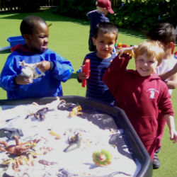 Reception Class had fun in the sun this afternoon